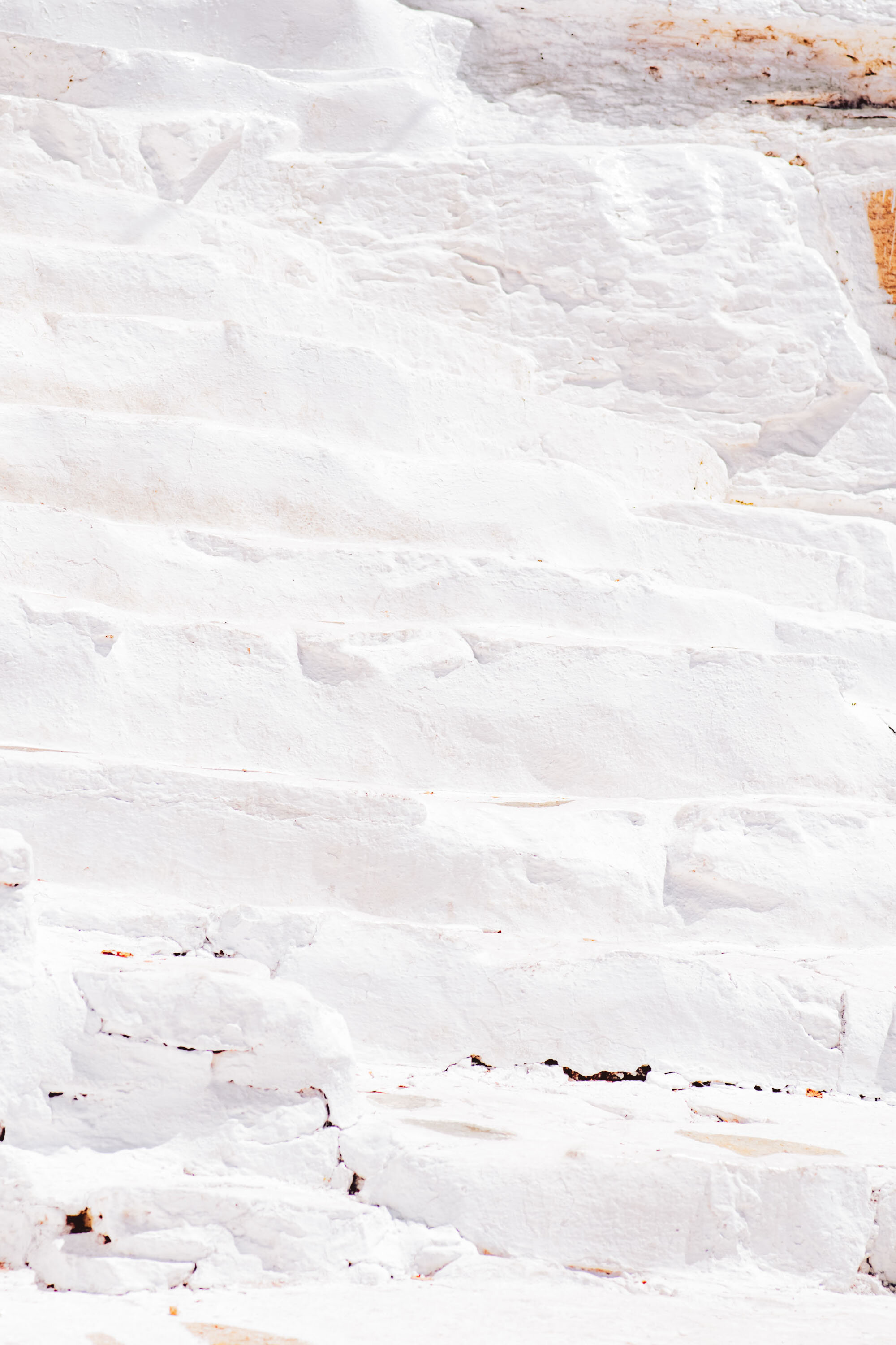 header-main-image
